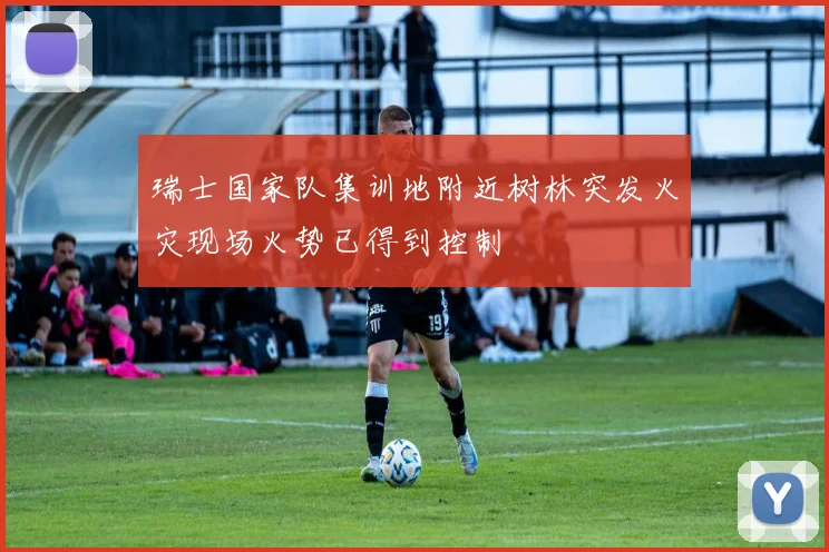 瑞士国家队集训地附近树林突发火灾现场火势已得到控制