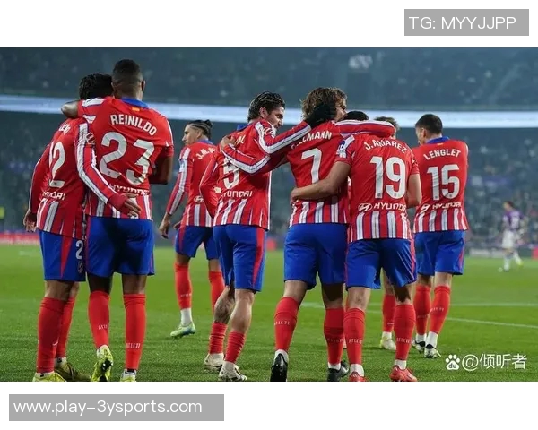 勒沃库森官方宣布签下红星17岁前锋达米亚诺维奇今夏加盟球队